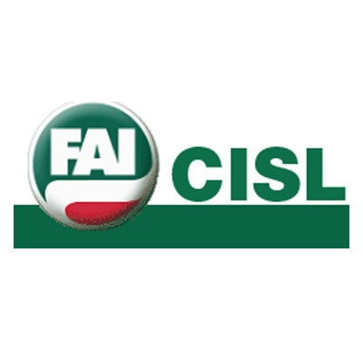 Cisl